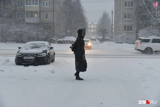 В воздухе много снега | Источник: Иван Митюшёв