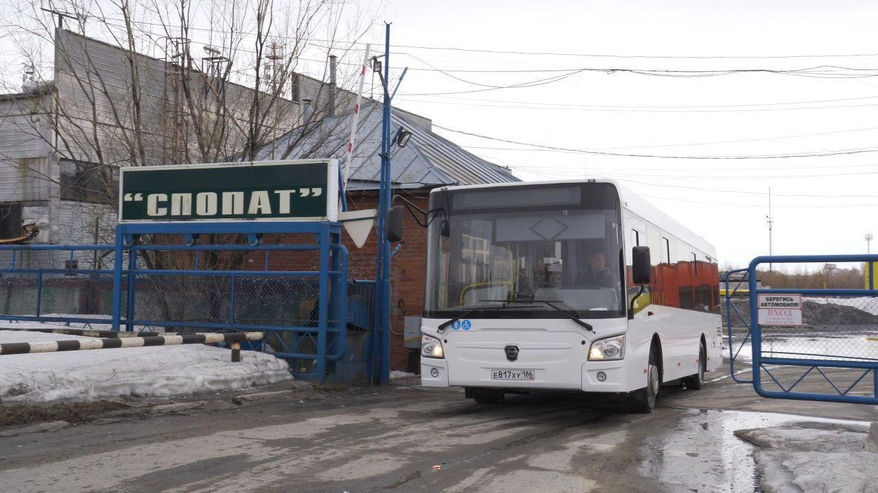 На улицы Сургута выехали новые автобусы — по каким маршрутам они будут  ездить - 28 апреля 2024 - 86.ру