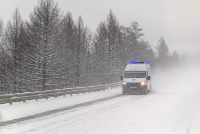 Медики Алтайского края рассказали о пострадавших в праздники