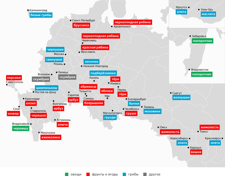 «Яндекс» провел исследование, какие продукты заготавливают на зиму в разных регионах России (карта)