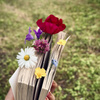 userpic__powell36454