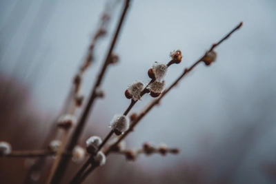 В Забайкалье 29 марта потеплеет до +8