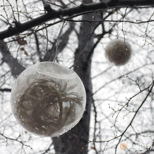 Источник: Михаил Огнев / «Фонтанка.ру»