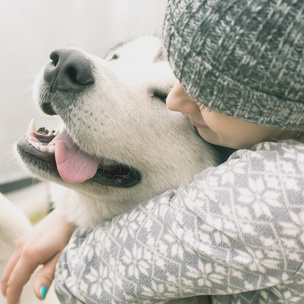 Тест: Ответь на 10 вопросов и узнай, кого ты любишь больше – людей или животных