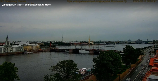 Достаем зонтики и плащи. В Петербурге становится прохладнее | www.fontanka.ru