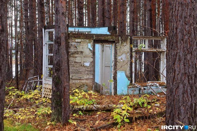 От них почти ничего не осталось | Источник: Алёна Кашпарова / «ИрСити»