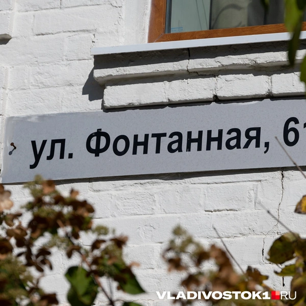 Источник: Елена Буйвол / VLADIVOSTOK1.RU