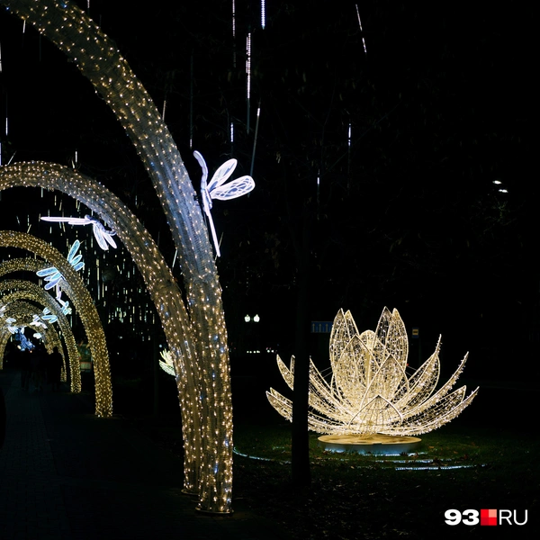 Вокруг арок стоят лотосы — вокруг них тоже любят делать фото | Источник: Дарья Паращенко / 93.RU