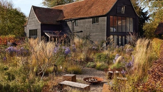 Осенний сад с вейниками и астрами в Эссексе