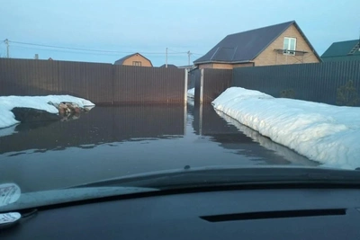 Жители тюменских СНТ жалуются на подтопление