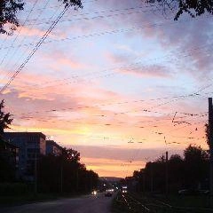 Не укрывайтесь под отдельно стоящими деревьями | Источник: www.city-n.ru