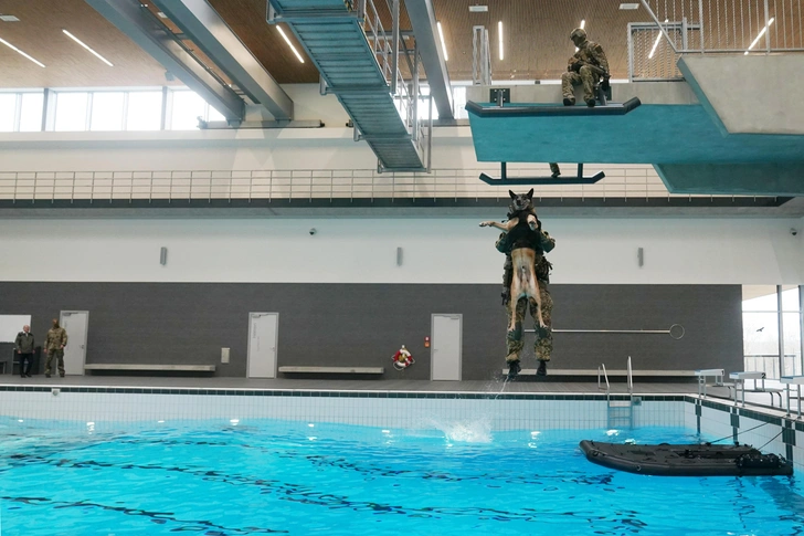 Тренировка собак для водных операций в главном учебном центре KSK в Кальве, Германия, 5 марта 2024 г. | Источник: Getty Images