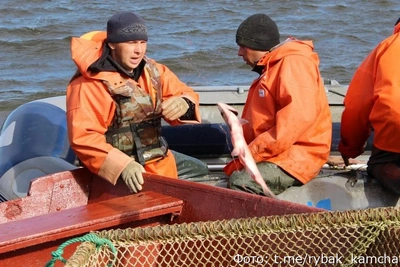 Непогода срывает планы камчатских рыбаков на богатый улов