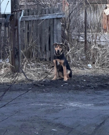 Источник: Юлия Иванова