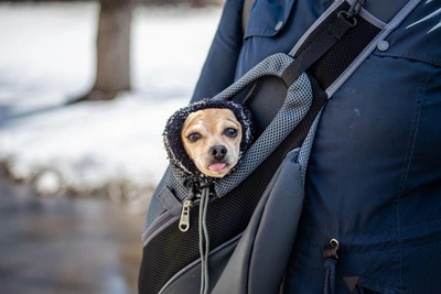 Морозная погода начнёт март в Иркутской области
