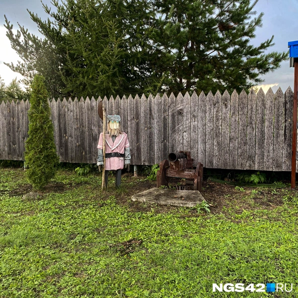 Источник: Елизавета Богатырева / NGS42.RU