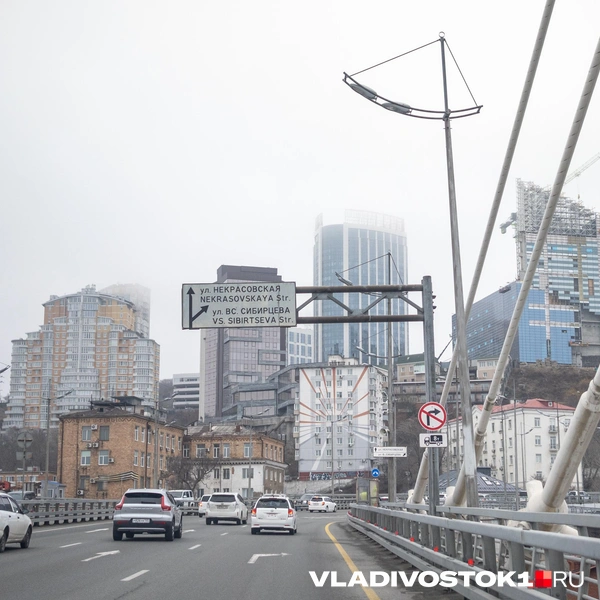 Источник: Елена Буйвол / VLADIVOSTOK1.RU