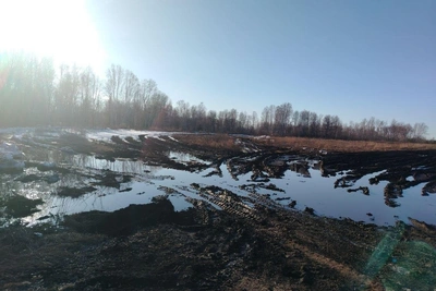 Жительница Горьковки не может добраться до кладбища из-за грязи