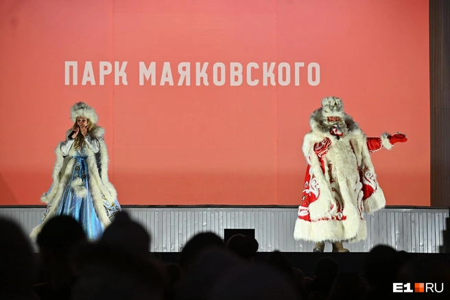 Источник: Максим Воробьев / E1.RU