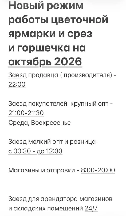 График рынка из официальных соцсетей | Источник: Ярмарка базар / T.me