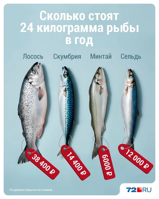 Стоимость 24 килограммов разной рыбы в Тюмени. Покупаем только минтай? | Источник: Дмитрий Гладышев / 72.RU