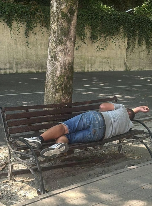 Самый «безопасный» посетитель аптеки | Источник: предоставлено читателями SOCHI1.RU