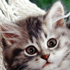 userpic__Олеся Маркова