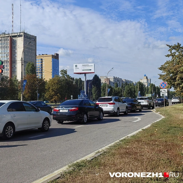 Очередь протянулась на 200 метров от заправки | Источник: Андрей Пашинский / Voronezh1.ru
