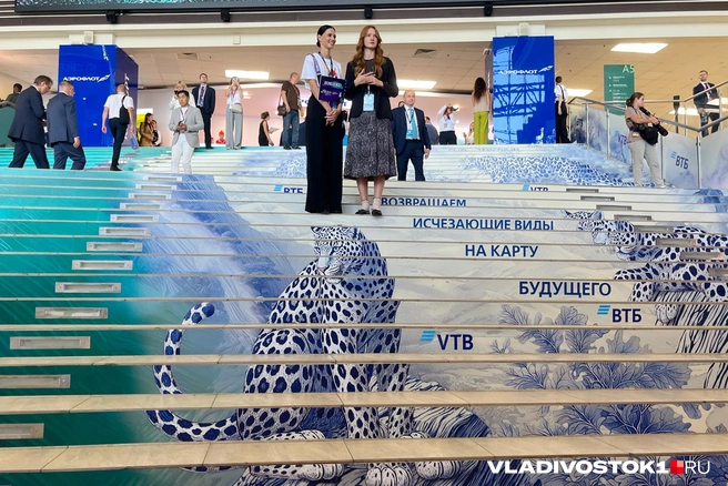 Источник: Елена Буйвол / VLADIVOSTOK1.RU