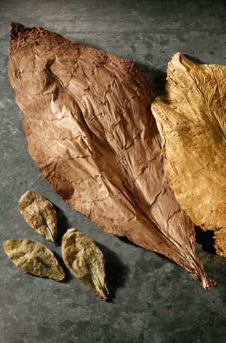 Табак и пачули: самые загадочные ноты в составе ароматов