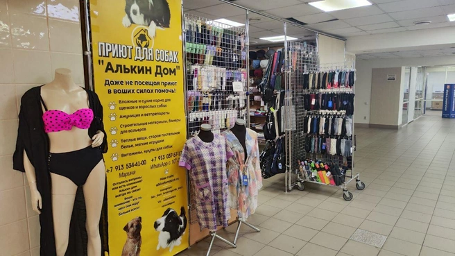 Головные уборы против манекена в купальнике | Источник: Полина Бородкина / NGS24.RU