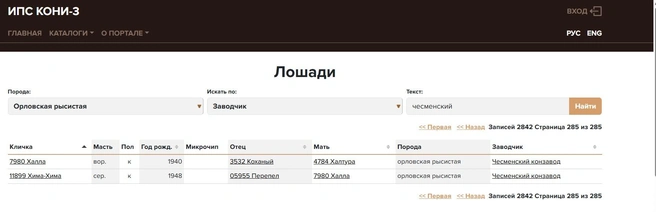 В базе Всероссийского НИИ коневодства на сегодняшний день информация о почти трех тысячах чесменских орловцев | Источник: скриншот с сайта Base.ruhorses.ru