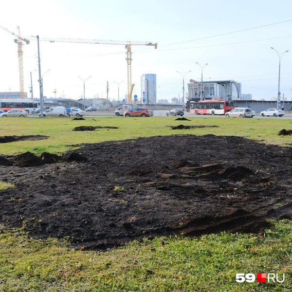 Источник: Тимофей Калмаков / 59.RU