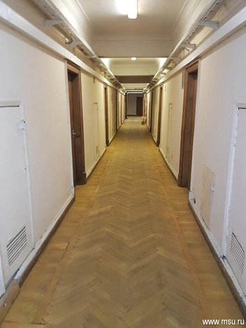 Так выглядит один из коридоров «Дома студента» | Источник: МГУ / msu.ru