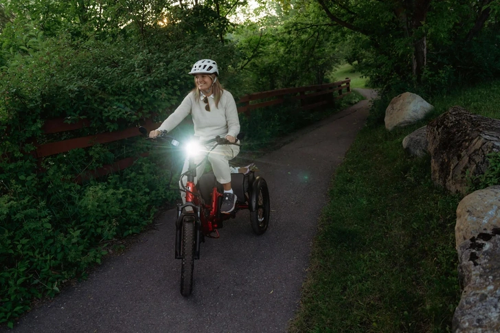 Источник: Velotric