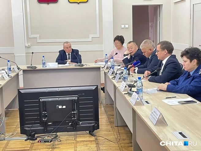 В целом, исходя из доклада, закон о транспортном обслуживании якобы работает | Источник: Тамара Ван-Фу-Ли / CHITA.RU