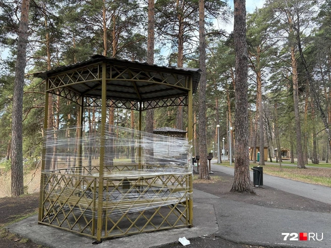 Некоторые обматывают пленкой беседки от ветра и насекомых  | Источник: Мария Токмакова / 72.RU