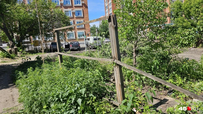 Раньше был забор | Источник: Дарья Никитченко / 45.RU
