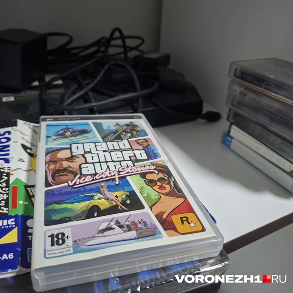 Источник: Алёна Воропаева / Voronezh1.ru