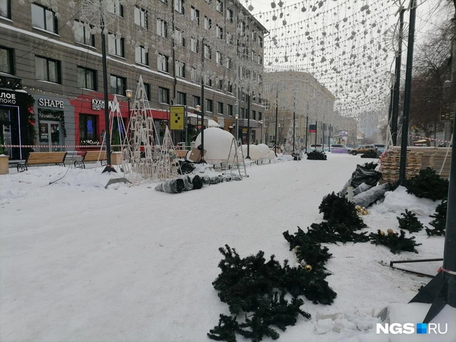 Елки разобрали первыми | Источник: Маргарита Резникова / NGS.RU