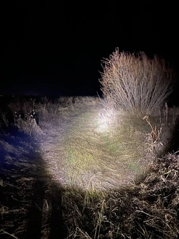 Здесь поисковики искали парня | Источник: «Лиза Алерт» / Vk.com