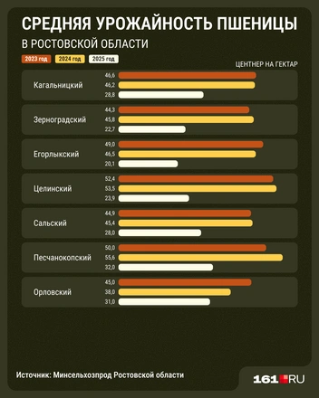 Источник: Мария Романова / 161.RU