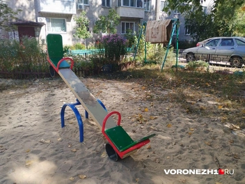 Источник: Дмитрий Волгин / Voronezh1.ru