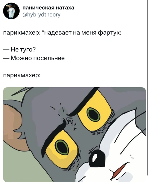 Источник: X (Twitter)