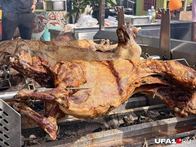 Источник: Булат Салихов / UFA1.RU