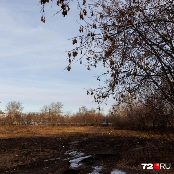 Источник: Ирина Шарова / 72.RU