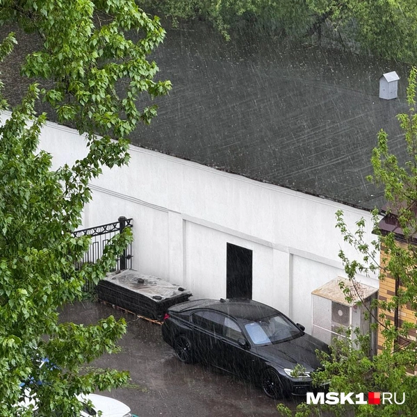 Источник: Дмитрий Толстошеев / MSK1.RU