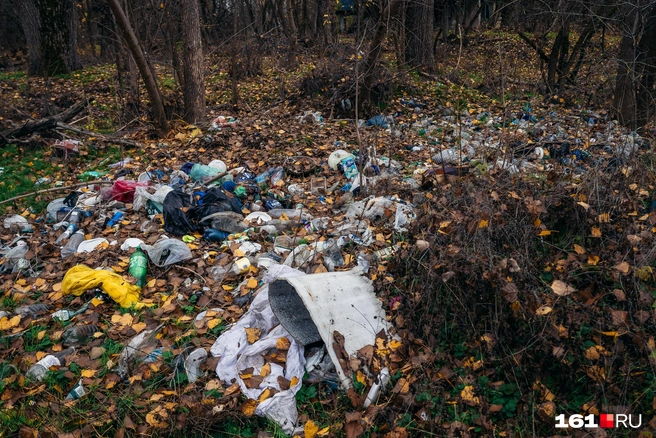 Тут устроили свалки | Источник: Евгений Вдовин / 161.RU