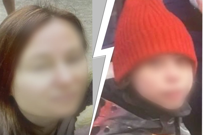 В Подмосковье нашли мертвым ребенка и бессознательном состоянии его мать | Источник: Liza Alert