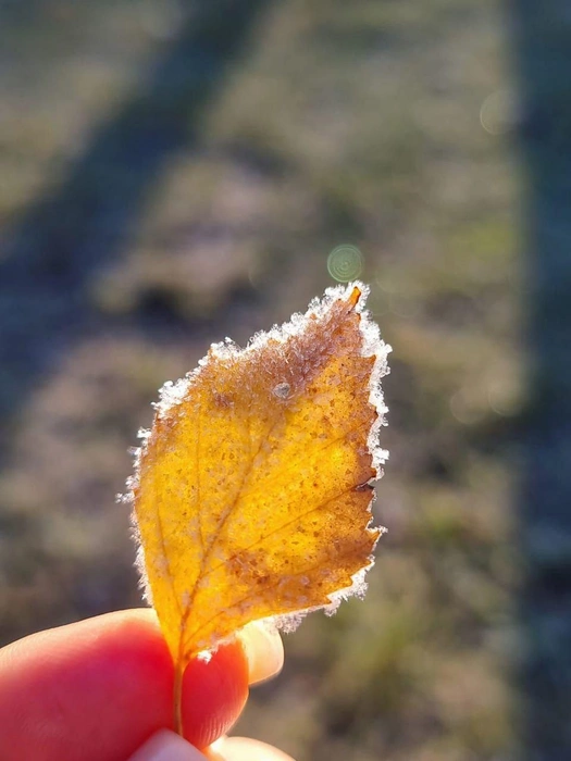 Источник: Мария Решетникова